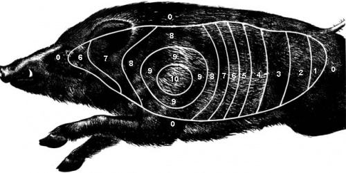 Zawody strzeleckie o "Puchar Członka NRŁ, Łowczego Okręgowego i Przewodniczącego Komisji Strzeleckiej"